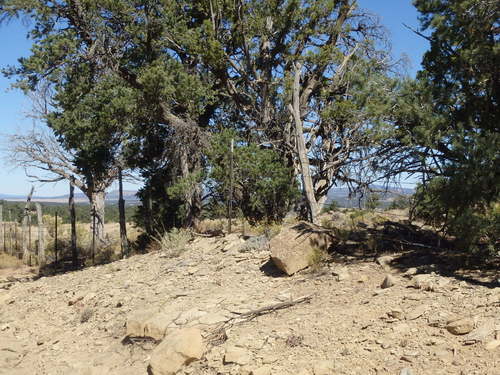 GDMBR: Looking northeast from CR-41.